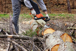 stihl chainsaw