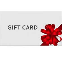 Visa gift card