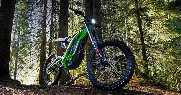 Sur-Ron Light Bee electric dirt bike in forest